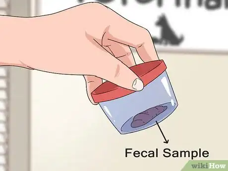 Image titled Schedule Wellness Exams for a Senior Cat Step 8