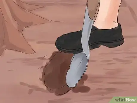 Image titled Care for a Weeping Cherry Tree Step 19