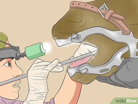 Image titled Prevent a Horse From Colicking Step 12