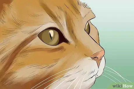 Image titled Photograph Animals Step 6