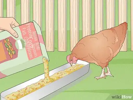 Image titled Prevent Diseases in Chickens Step 4