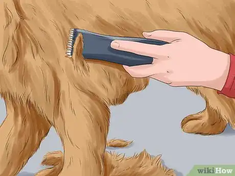 Image titled Keep Your Pets Safe in Winter Step 9