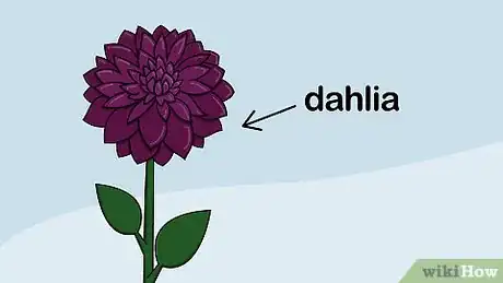 Image titled Plant Flower Bulbs Step 5