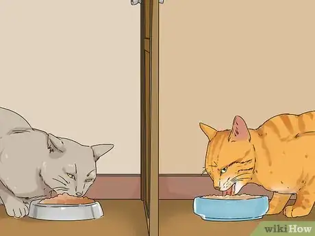 Image titled Prevent Fights Between Cats Step 11