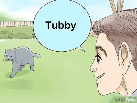 Image titled Include Your Cat in a Disaster Preparedness Plan Step 12