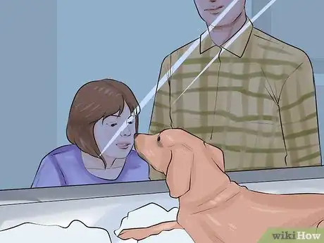 Image titled Involve Your Kids in Selecting a Dog Step 5