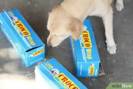 Image titled Train Your Dog in Nosework Step 4