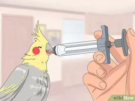 Image titled Treat Chlamydiosis in Cockatiels Step 5