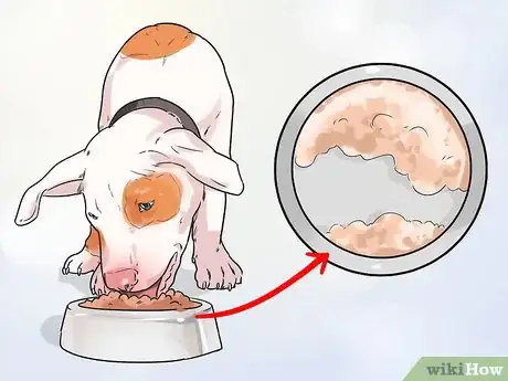 Image titled Improve the Appetite of an Older Dog Step 3
