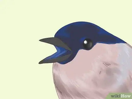 Image titled Treat Avian Pox in Finches Step 6