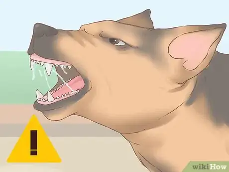 Image titled Become Friends with an Unfriendly Dog Step 18