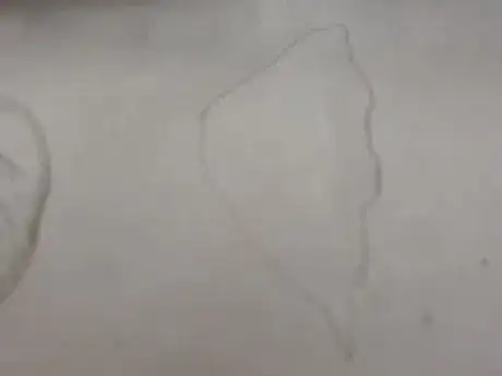 Image titled 20180706_141441