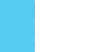 Raise Your Hand in Zoom