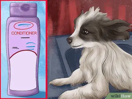 Image titled Care for Papillons Step 6