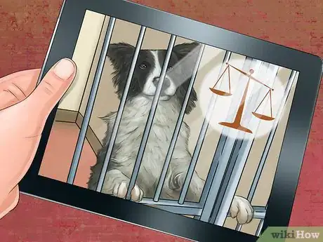 Image titled Adopt Out a Shy Dog Step 1