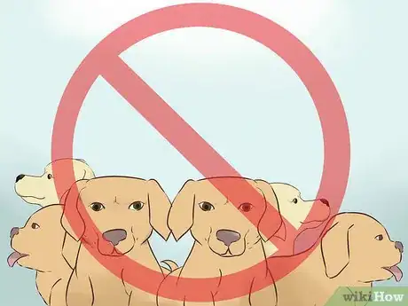 Image titled Create a Sound Reputation As a Dog Breeder Step 4
