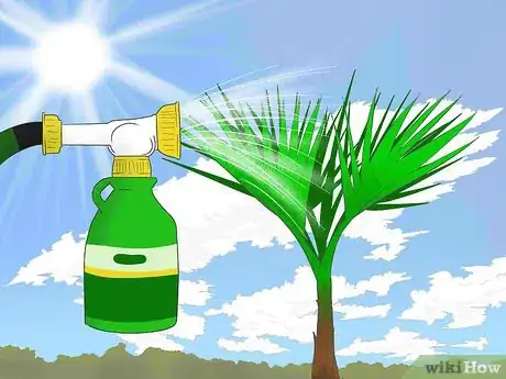 Image titled Grow a Washingtonia Robusta Step 11