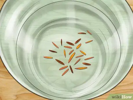 Image titled Give Cat Grass to a Cat Step 7