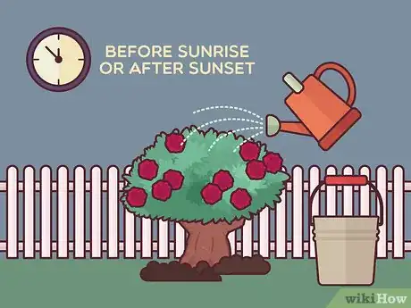 Image titled Save a Dying Rose Bush Step 18