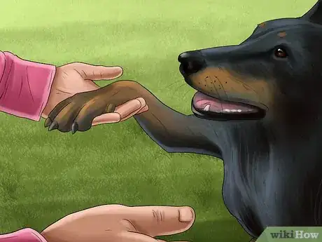 Image titled Adopt Out a Shy Dog Step 13