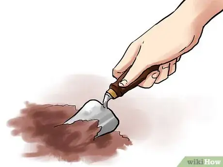 Image titled Grow Geraniums in Pots Step 6