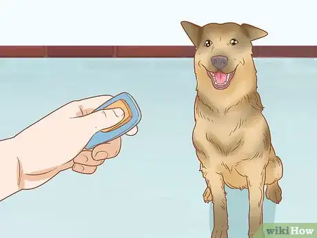 Image titled Train a Therapy Dog Step 4