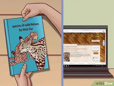 Image titled Identify Feline Species by Fur Step 11