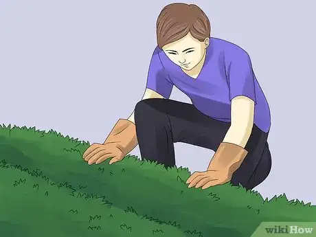 Image titled Remove an Ivy Plant Step 4