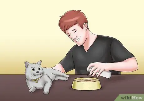 Image titled Care for a Cat with Kidney Failure Step 4