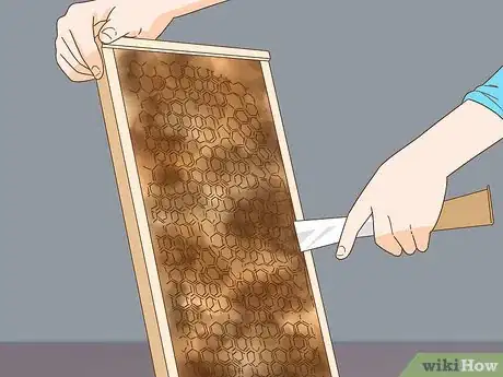 Image titled Make Bees Wax Step 2