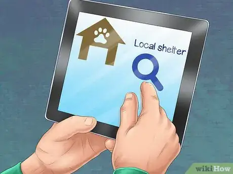 Image titled Adopt Out a Shy Dog Step 14