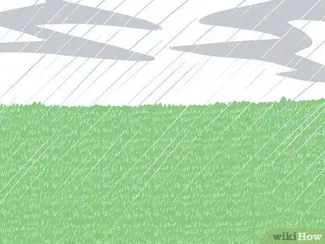 Image titled Save Water with a Sleeping Lawn Step 4