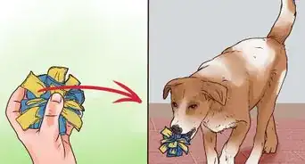 Make a Fun Toy for Your Small Dog