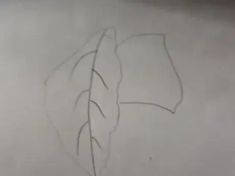 Image titled 20180706_141620