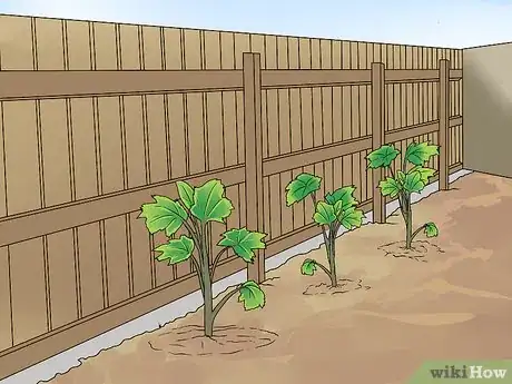 Image titled Grow Delphinium Step 18