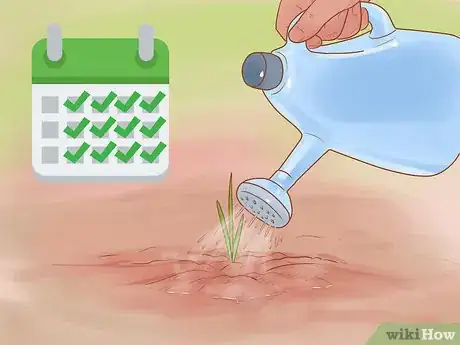 Image titled Grow Red Onions Step 17