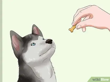 Image titled Love Your Puppy Step 23