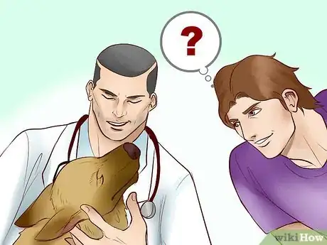 Image titled Adopt a Herding Dog Step 10