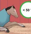 Make a Horse Blanket