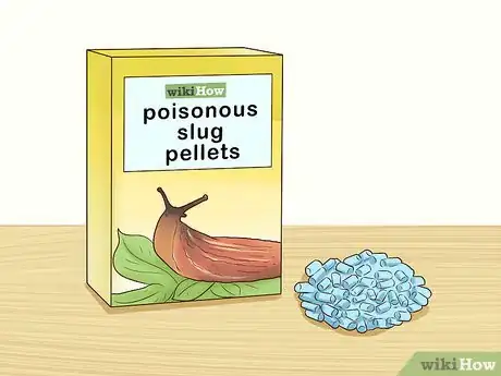 Image titled Grow Orris Root Step 9