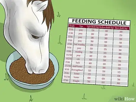 Image titled Prevent a Horse From Colicking Step 13