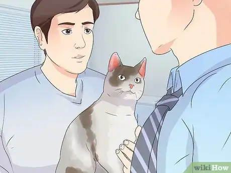 Image titled Prevent Cat Hairballs Step 14