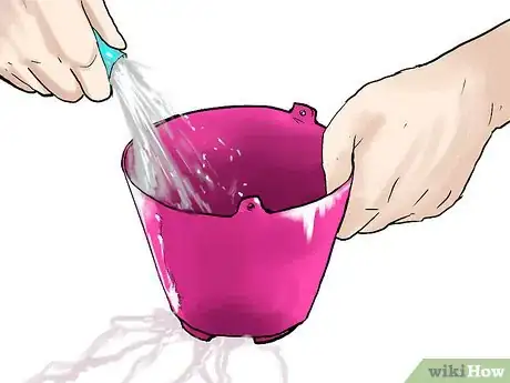 Image titled Grow Geraniums in Pots Step 4