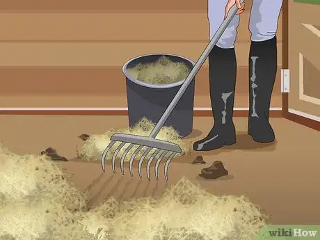 Image titled Prevent Heaves in Horses Step 12