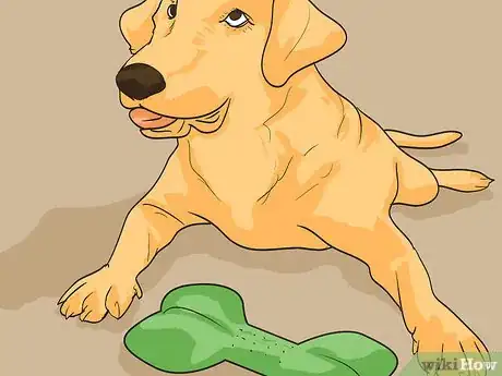 Image titled Handle Holiday Travel with Your Pet Step 16