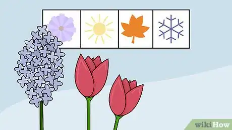 Image titled Plant Flower Bulbs Step 7