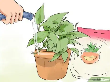 Image titled Rejuvenate an Overgrown Houseplant Step 15