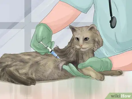 Image titled Treat a Dog for Rabies Step 20