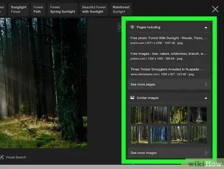 Image titled Search by Image Step 13