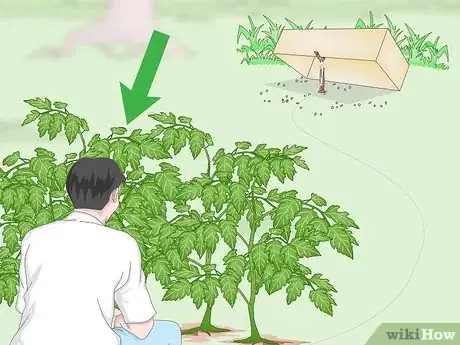 Image titled Trap a Robin Bird Step 7